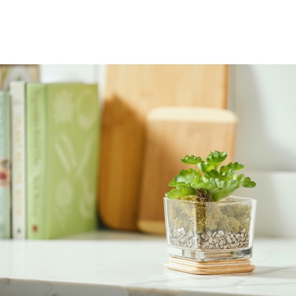 Yankee Candle Wholesome Apple & Sweet Berry Well Living Collection Medium 11.25o - Picture 3 of 5